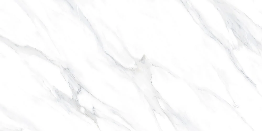 BLANK 60X120 POLI
